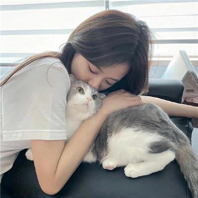 猫物件 电影版