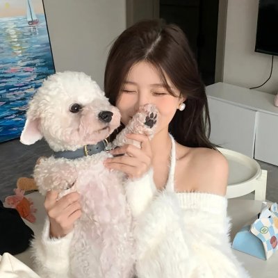 洪拳小子